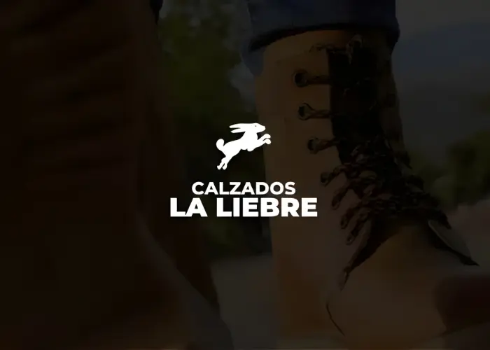 Caso digital de Calzados La Liebre